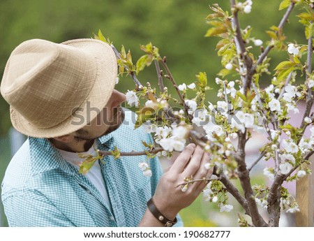 Young male gardener looking after trees in his backyard garden