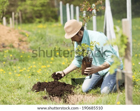 Young handsome man planting a small tree in his backyard garden