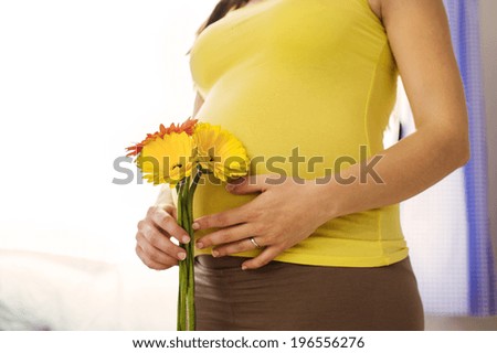 Close-up of unrecognizable pregnant woman holding flower in front of her belly