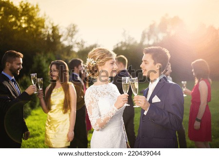 Young newlyweds and wedding guests clinking glasses at wedding reception outside