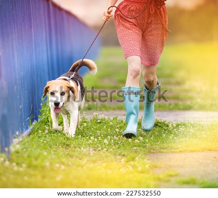Unrecognizable young woman in dress and blue wellies walk her beagle dog in green nature