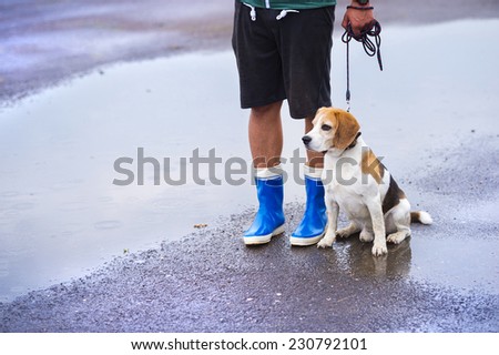 Young man walking dog in rain. Details of legs wellies