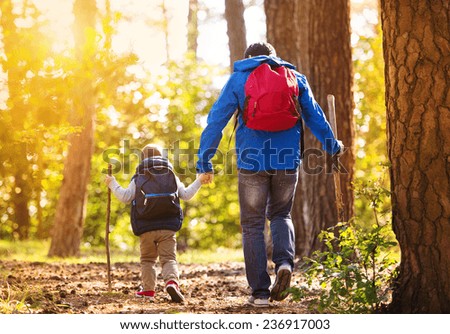 Father and son walking in forest at sunset