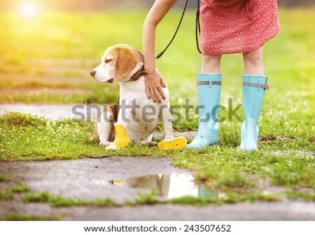 Young woman in dress and turquoise wellies walk her beagle dog in a park