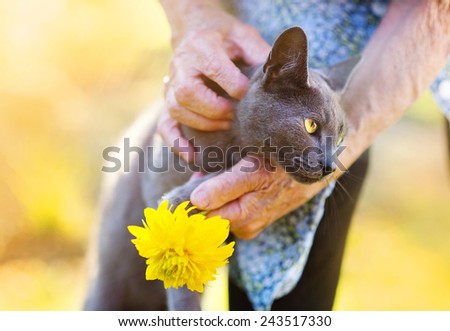 Senior woman in apron with her gray cat and yellow flower outside her house.