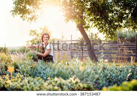 Young gardener cutting little flower plant, green sunny nature