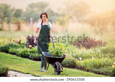 Gardener with seedling in wheelbarrow, sunny nature