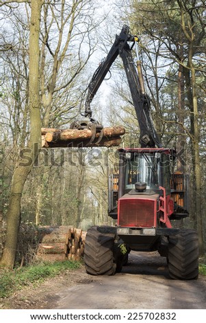 Forestry in a Dutch forest. Truck is loading pinetree trunks.