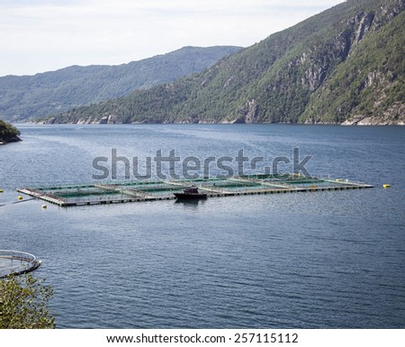 Salmon farm in the Akrafjorden (near Kyrping, Hordaland, Norway)