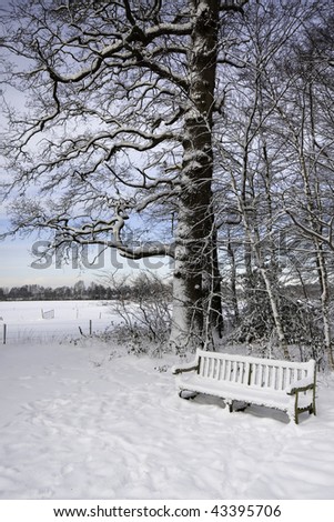 Wooden park bench in the snow (Groeneveld estate, Baarn, Netherlands 