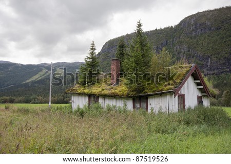 Old Norwegian house with spruce trees on the roof (Hemsedal, Norway)