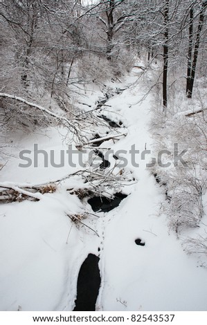 Winter Creek Bed in Woods after Snowfall
