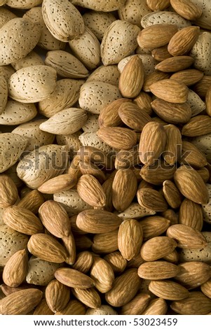 Shelled and  un-shelled almonds filling the frame