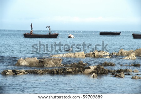 Fishing boats for extraction of seafood on an anchor