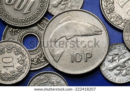 Coins of Ireland. Salmon depicted in the old Irish ten pence coin (1980).