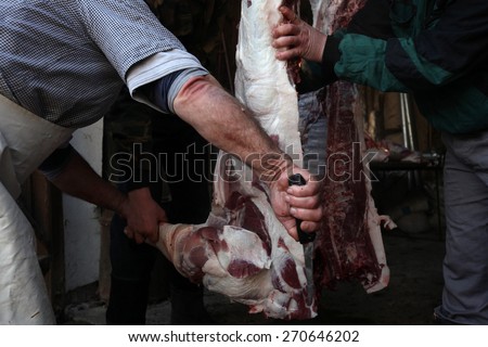 TURNOV, CZECH REPUBLIC - MARCH 5, 2011: Butcher cuts up a pig during the traditional Shrovetide public pig slaughter called zabijacka in Vsen near Turnov, Czech Republic.