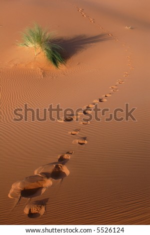 Human footsteps in the sand in the Sahara Desert, Morocco