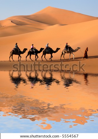 Camel caravan going along the lake the Sahara Desert, Morocco.