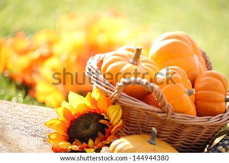 Pumpkins In Basket And Decorative Corns. Defocused Colorful Leaves In The Background