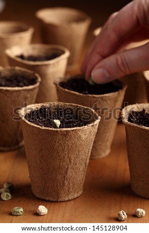 Close-up of seeds, planting pots and hand with seed