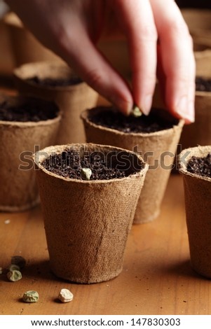 Close-up of seeds, planting pots and hand with seed