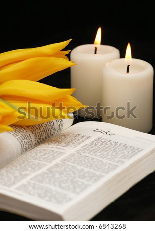 Open Bible, tulips and candles Bible, tulips and candles on black background