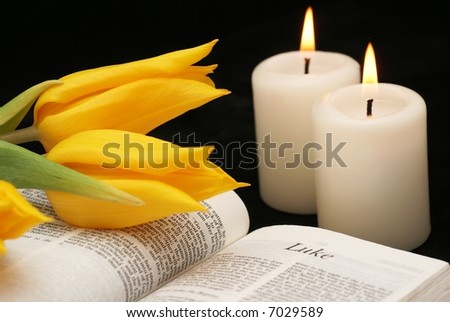 Open bible, tulips and candles