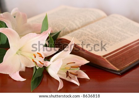 Holy Bible and lily - focus on flower, shallow DOF
