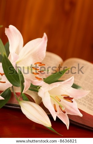 Lily and Bible with copy space - focus on flower, shallow DOF
