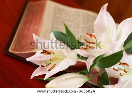 Lily and open Bible - focus on flower, shallow DOF