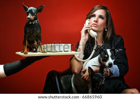 Sophisticated woman calling with her dogs