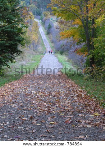 Hiking trail in the fall in Quebec
