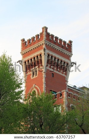 Tower of a medieval castle with gothic gargoyles
