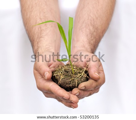 Hands offering a turf of earth with a young plant