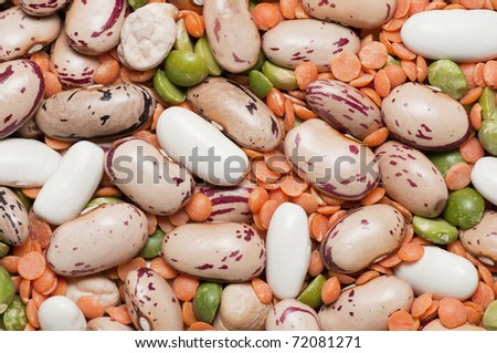 Variety of pulses essential for human life: beans, peas, lentils.
