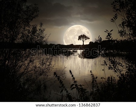 Big Moon over the wild lake