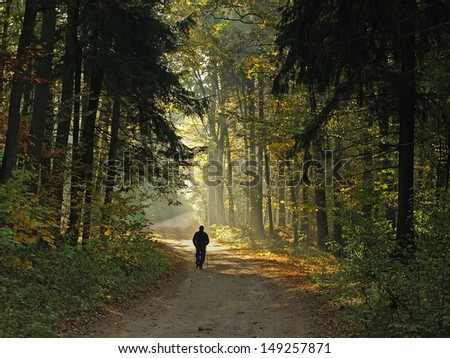 man hiking in autumn forest
