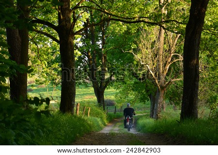 green spring road with old trees and man on motorcycle