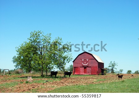 A photograph of a smiling face painted on a red barn in a country field.