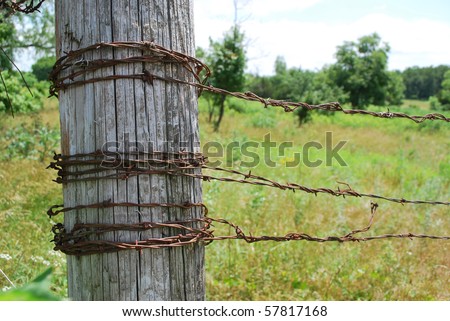 Barbed Wire Fence. stock photo : Barbed Wire