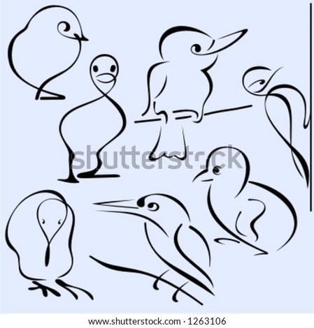 illustrations of birds. illustrations of irds in