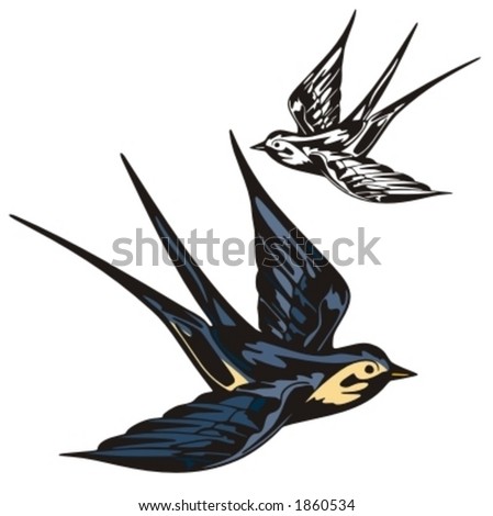 A Swallow