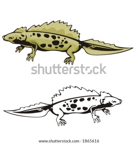 Vector Illustration Of A Lizard. - 1865616 : Shutterstock