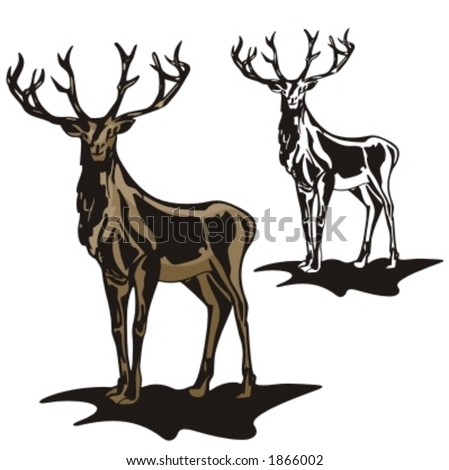 Cartoon Elk Pictures