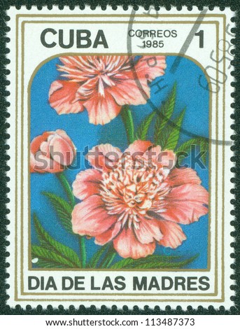 CUBA - CIRCA 1985: A Stamp printed in CUBA shows image of a Peonies, from the series 