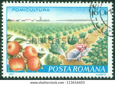 ROMANIA - CIRCA 1982: stamp printed by Romania, shows Apple orchard, circa 1982