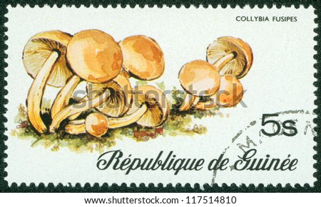 GUINEA - CIRCA 1977: stamp printed by Guinea, shows mushroom, circa 1977.