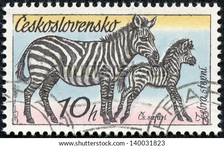 CZECHOSLOVAKIA - CIRCA 1976: A Stamp printed in CZECHOSLOVAKIA shows the image of the Zebras from the series \