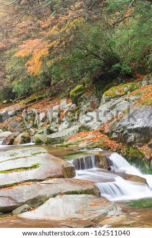 autumn,forest and stream,guang wu shan(???),sichuan,china