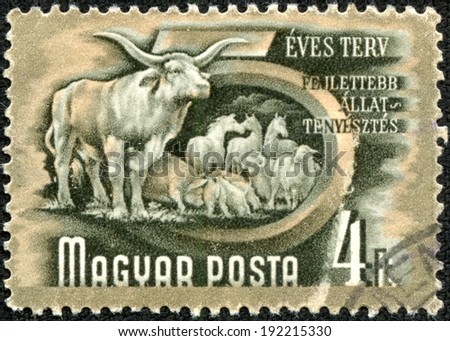 HUNGARY - CIRCA 1950: A Stamp printed in Hungary shows farm animals - cows, pigs, sheep, and horses, series 5 year plan, circa 1950